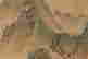 item-100957467=5