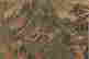 item-100957467=8