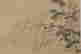 item-100957475=5