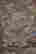 item-105259953=15