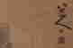 item-108284083=3