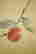 item-109337932=7