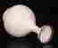 item-109462670=4