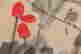 item-110942082=5