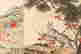 item-110942110=15