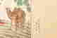 item-110942110=9