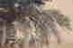 item-110942115=4