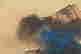 item-117222570=2
