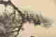 item-117225239=3