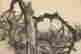 item-117225239=4