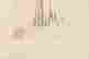 item-117225351=3