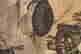 item-119988178=14