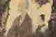 item-119988178=3