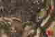 item-119988178=6