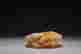 item-125160712=3