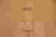 item-125160829=3
