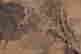 item-125160928=4