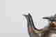 item-127527671=2