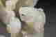 item-127527726=4
