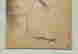 item-127527875=4