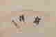 item-127527880=3