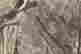 item-127528050=2