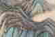 item-127528055=4