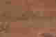 item-127528069=2