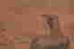 item-127528069=3