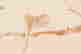 item-127528071=3