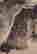 item-127528075=1