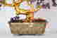 item-127528160=6