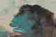 item-132059909=2