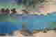 item-132059909=7
