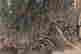 item-132059913=6