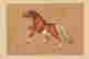 item-132059919=4