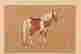 item-132059919=5