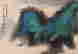 item-132059930=4