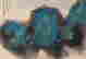 item-132059930=7
