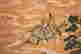 item-132060035=6