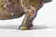 item-132060055=4