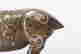 item-132060055=5