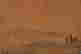 item-132060062=10