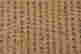 item-132060062=16