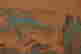 item-132060062=3