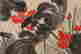item-132060066=4