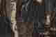 item-132060072=4