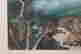 item-132060081=5