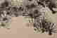 item-132060086=11