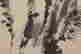 item-132060086=12